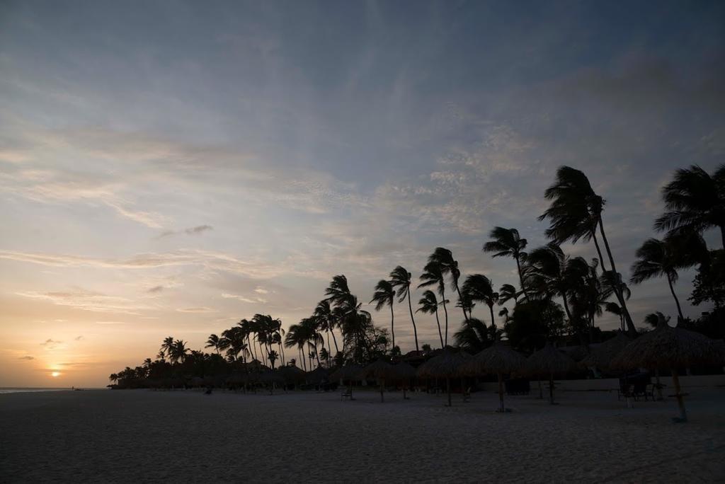 All Inclusive - Divi Dutch Village Beach Resort Oranjestad Esterno foto